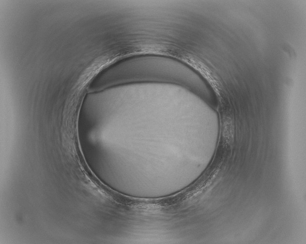 X0000115450577200912021008