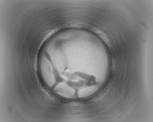 X0000115450578200912021008