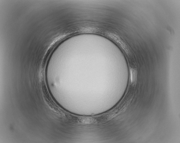 X0000115450579200912021008