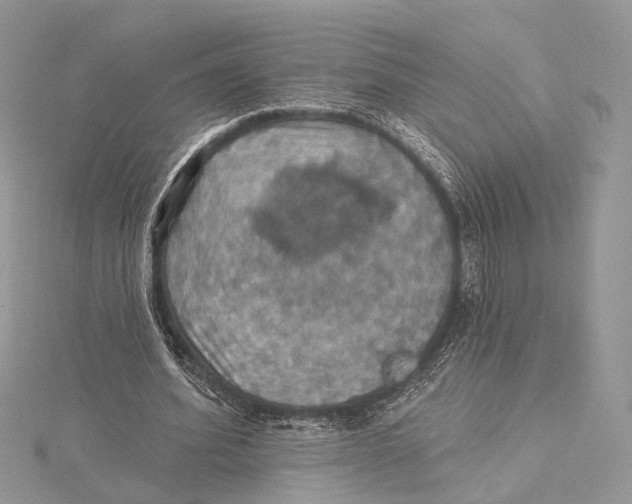 X0000115450580200912021008