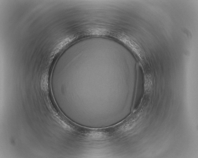 X0000115450581200912021008