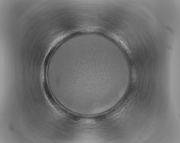 X0000115450582200912021008