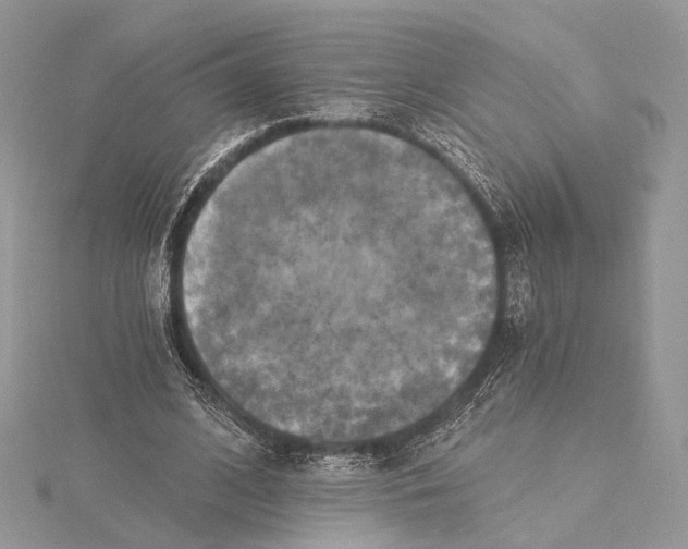 X0000115450584200912021008