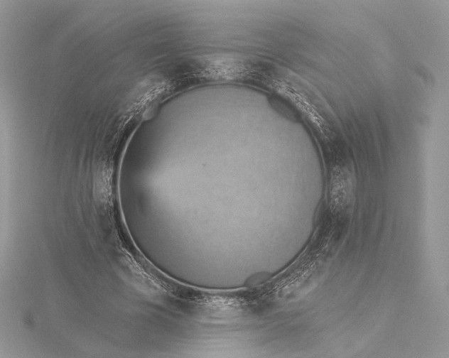 X0000115450585200912021008