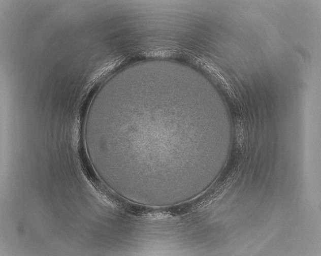 X0000115450586200912021008