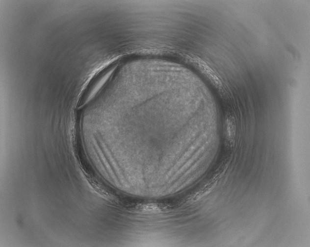 X0000115450588200912021008