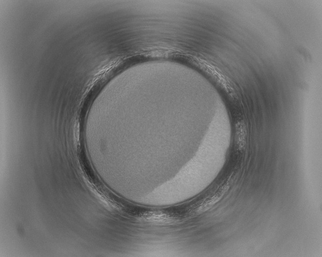 X0000115450589200912021008