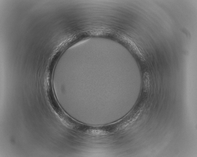 X0000115450590200912021008