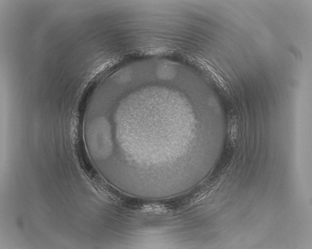 X0000115450591200912021008