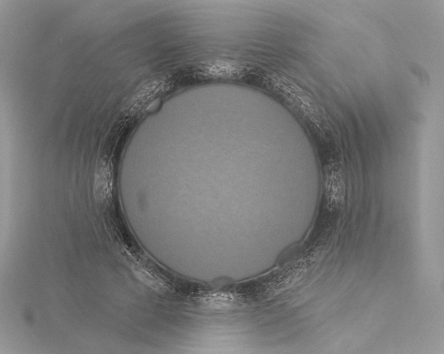 X0000115450593200912021008