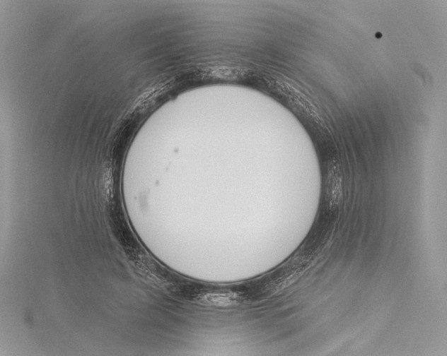 X0000115450595200912021008