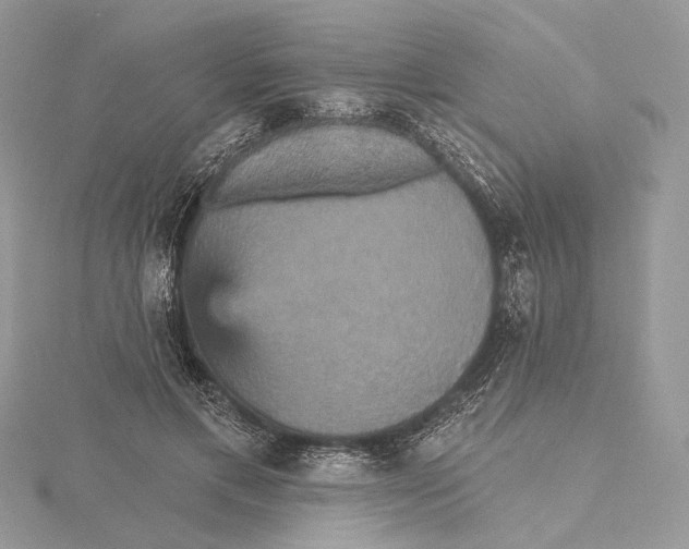 X0000115450597200912021008