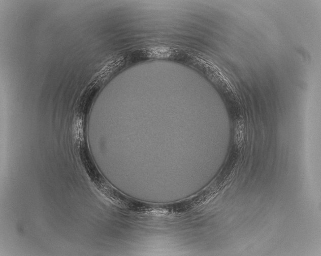 X0000115450598200912021008