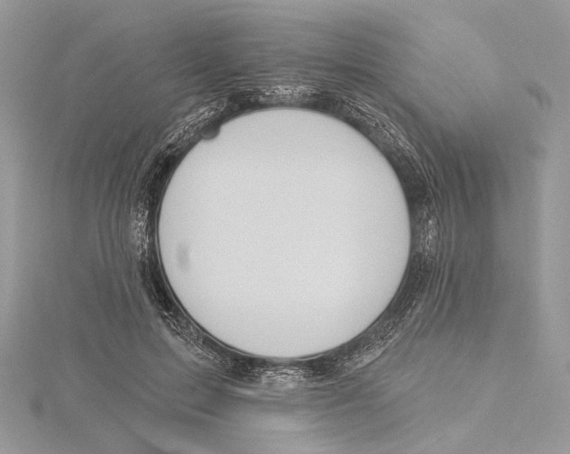 X0000115450599200912021008