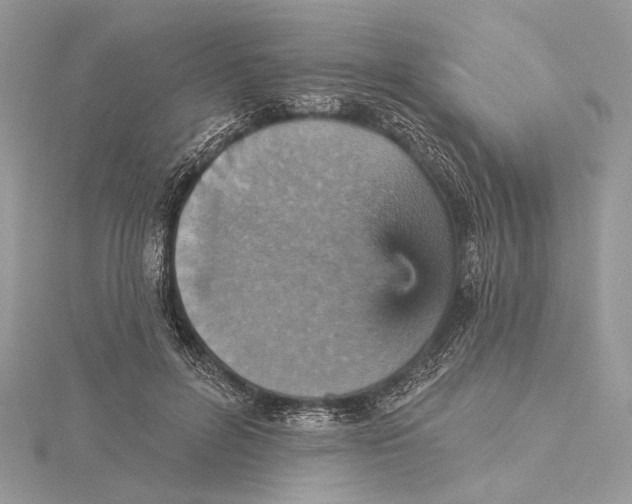 X0000115450600200912021008