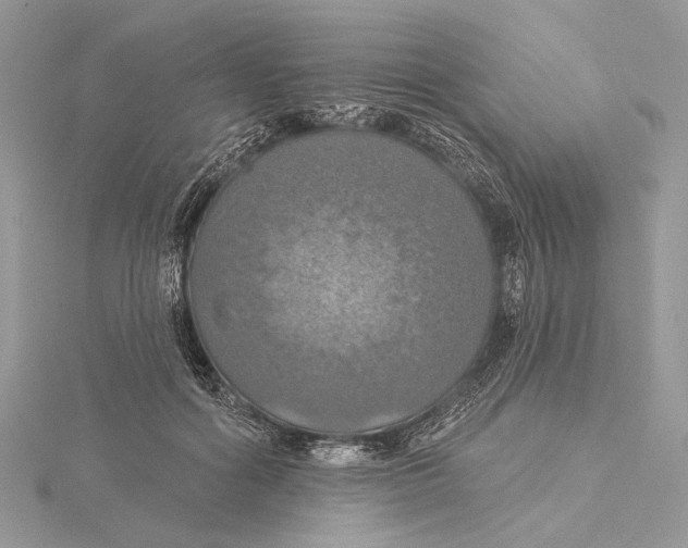 X0000115450602200912021008