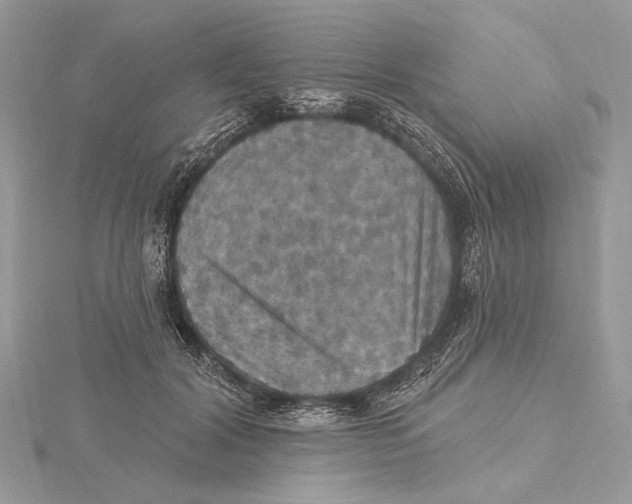 X0000115450604200912021007