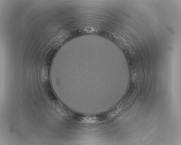 X0000115450606200912021007