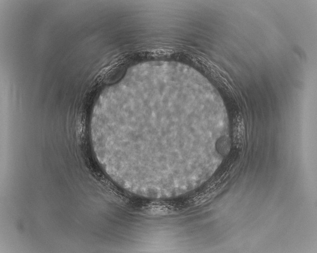 X0000115450608200912021007