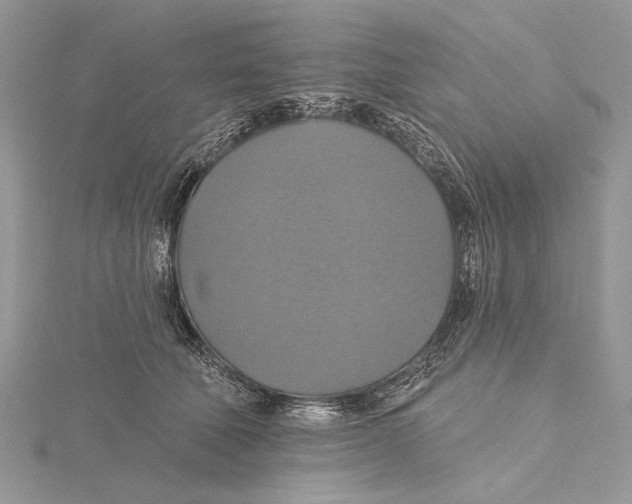 X0000115450610200912021007