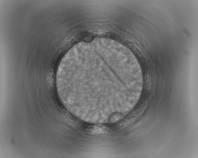 X0000115450612200912021007