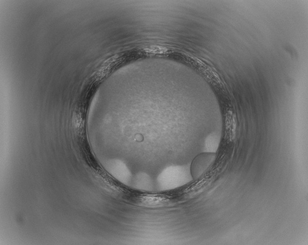 X0000115450614200912021007