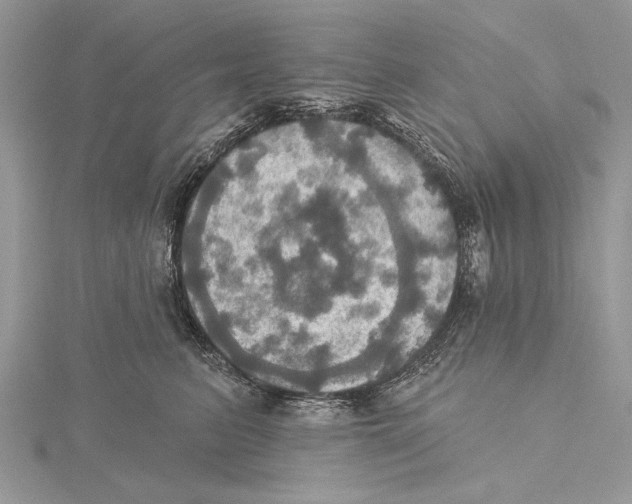 X0000115450615200912021007