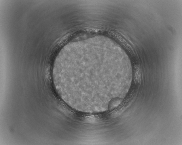 X0000115450616200912021007