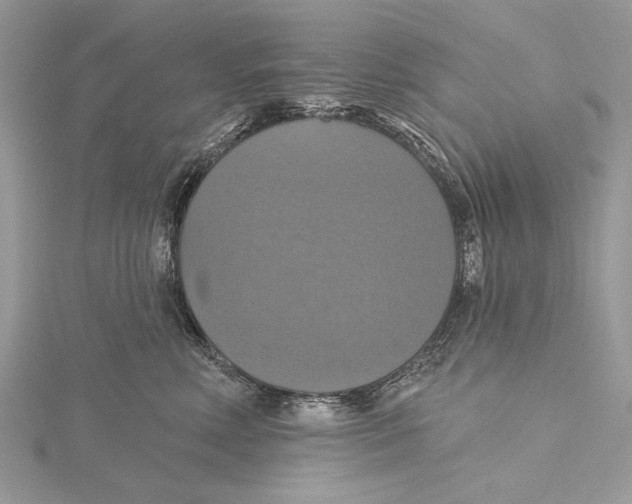 X0000115450618200912021007