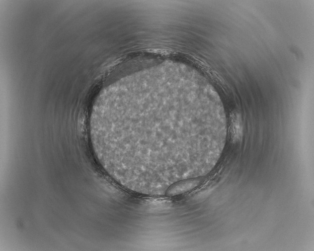 X0000115450619200912021007