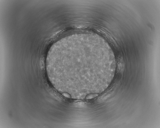 X0000115450620200912021007