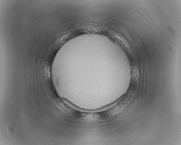 X0000115450621200912021007