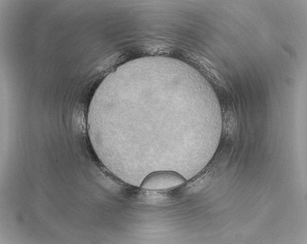 X0000115450622200912021007