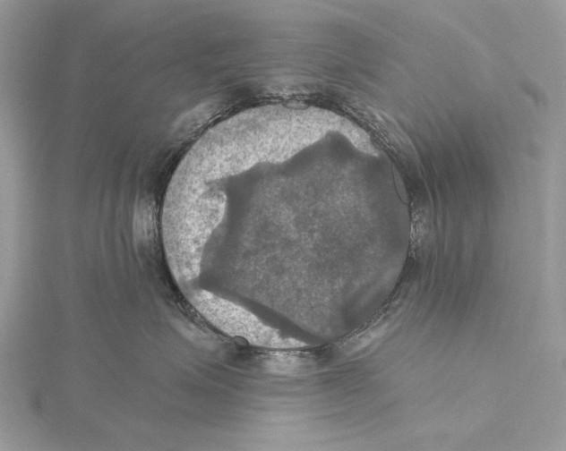 X0000115450623200912021007