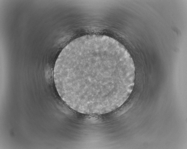 X0000115450624200912021007