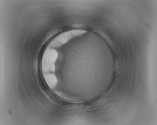 X0000115450626200912021006