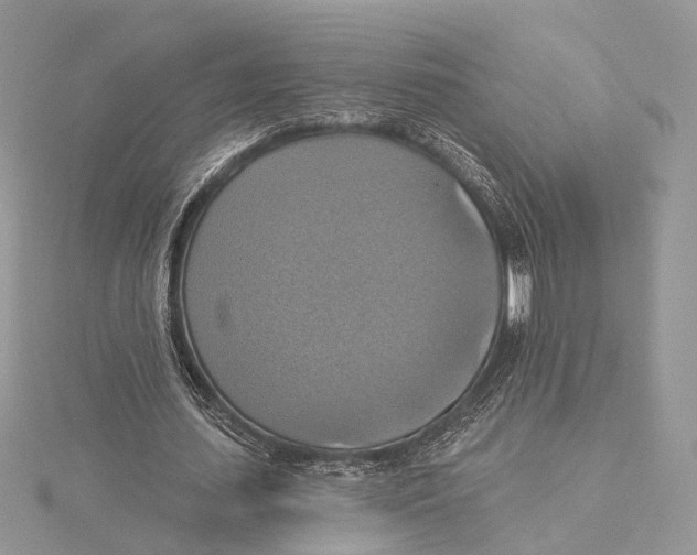 X0000115450627200912021006