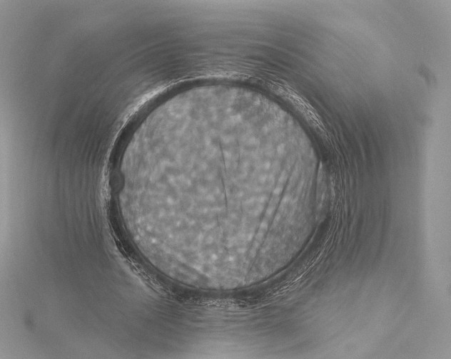 X0000115450628200912021006