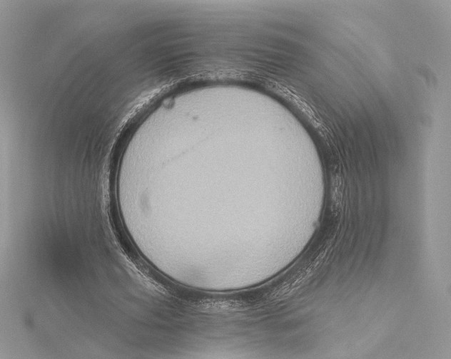 X0000115450629200912021006