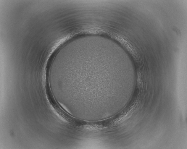 X0000115450630200912021006