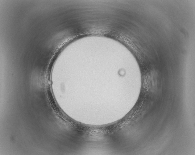 X0000115450632200912021006