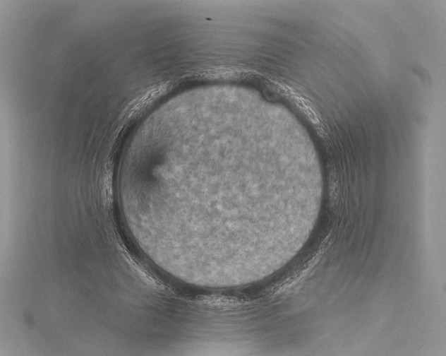 X0000115450633200912021006