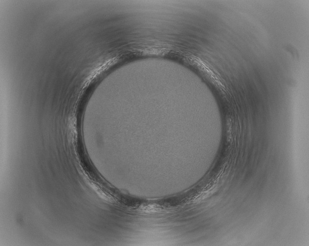 X0000115450634200912021006