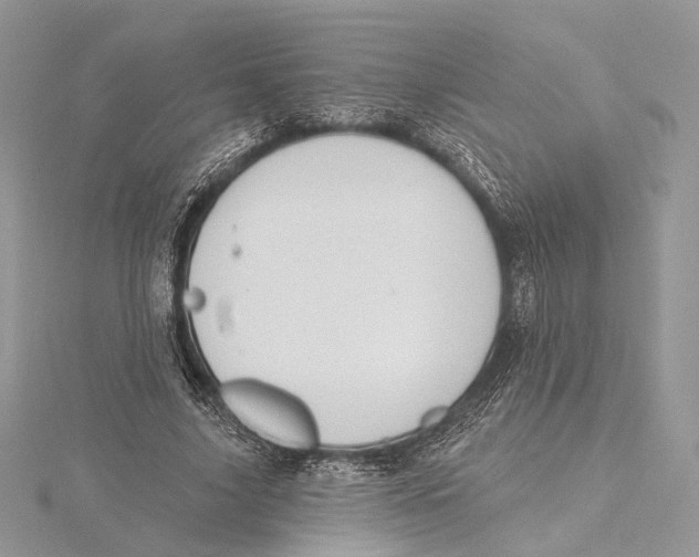 X0000115450635200912021006