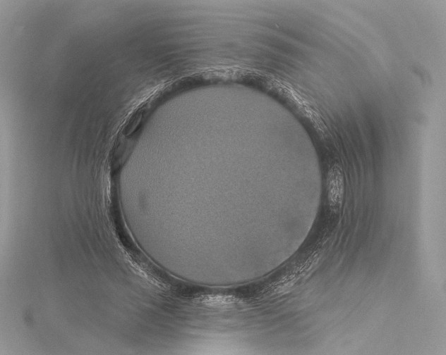 X0000115450637200912021006