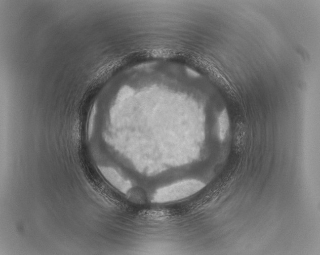 X0000115450639200912021007