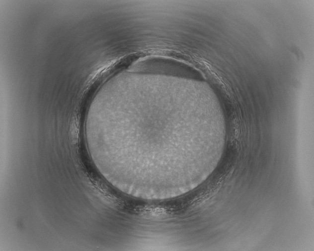 X0000115450640200912021007