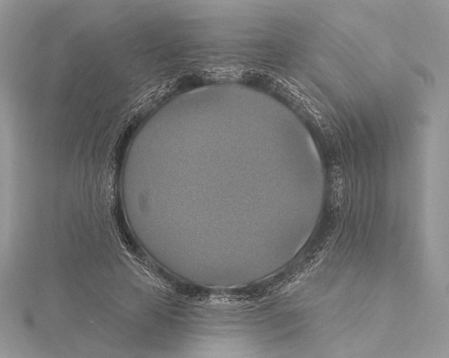 X0000115450641200912021007