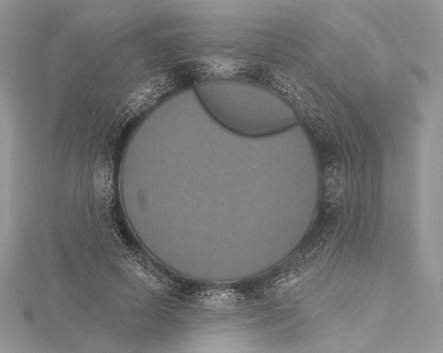 X0000115450642200912021007