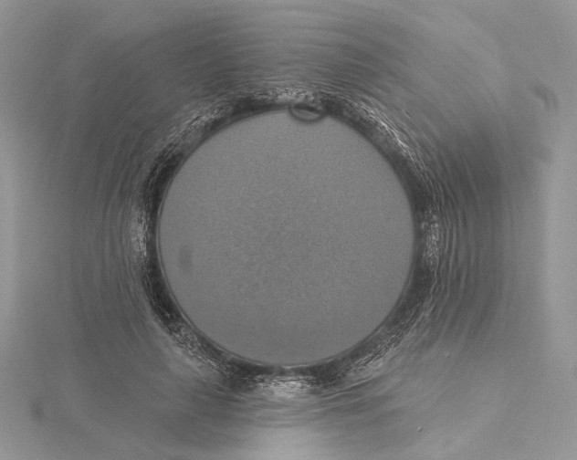 X0000115450643200912021007